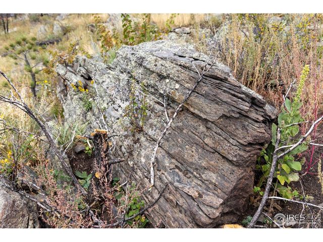 981 Palisade Mountain Dr, Drake, CO 80515