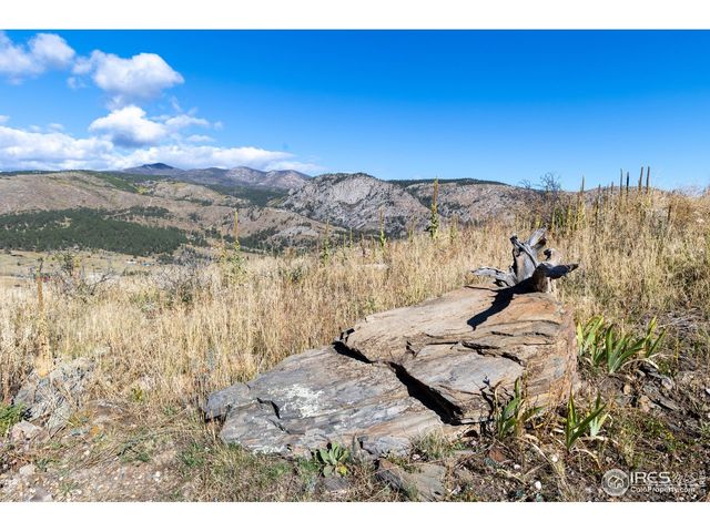 981 Palisade Mountain Dr, Drake, CO 80515