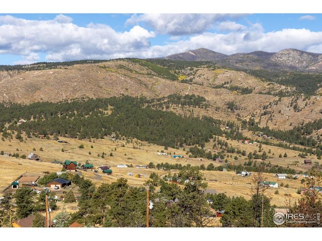 981 Palisade Mountain Dr, Drake, CO 80515