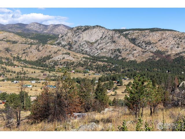 981 Palisade Mountain Dr, Drake, CO 80515