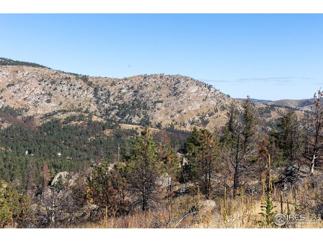 981 Palisade Mountain Dr, Drake, CO 80515