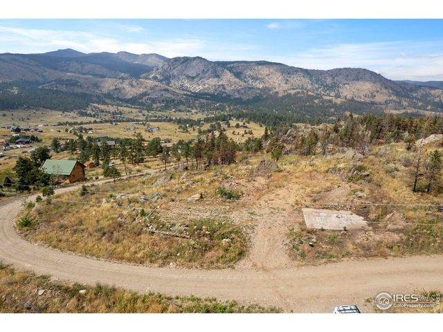 981 Palisade Mountain Dr, Drake, CO 80515