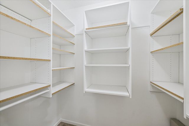 174 W Greywing Circle, The Woodlands, TX 77382