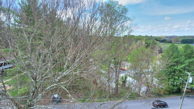 1419 Colony Park Drive, Johnson City, TN 37604
