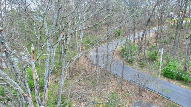 1419 Colony Park Drive, Johnson City, TN 37604