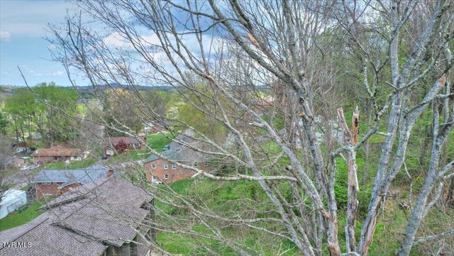 1419 Colony Park Drive, Johnson City, TN 37604