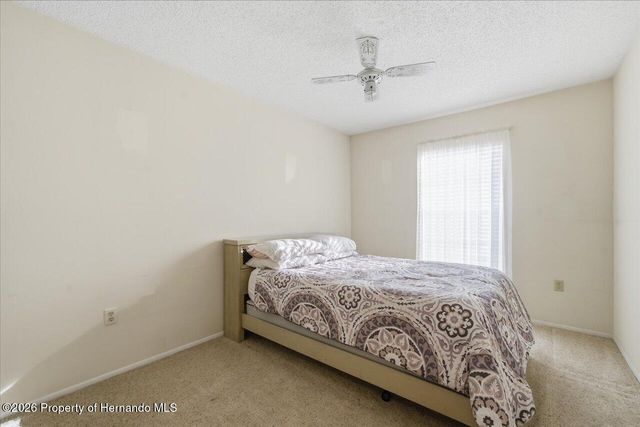 12439 Hanley Drive, Spring Hill, FL 34608