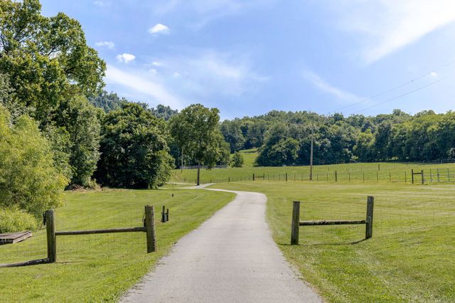 391 Bluestocking Hollow Rd, Shelbyville, TN 37160