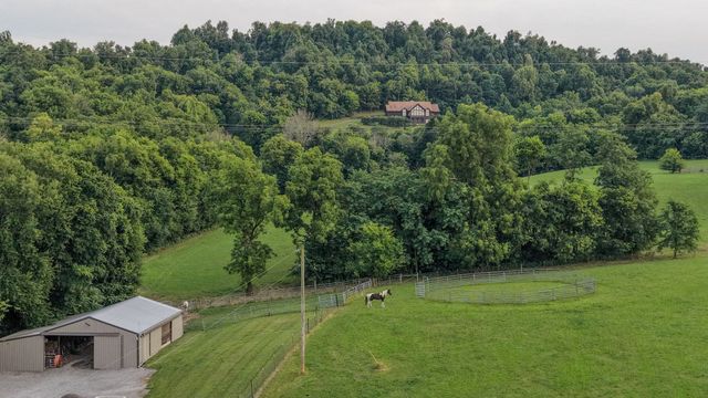 391 Bluestocking Hollow Rd, Shelbyville, TN 37160