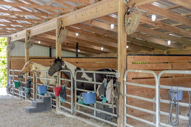 391 Bluestocking Hollow Rd, Shelbyville, TN 37160
