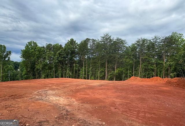 25 Caudell Drive, Cleveland, GA 30528