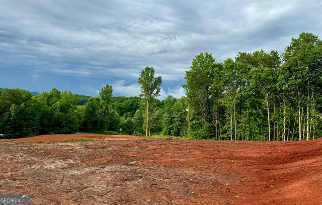 25 Caudell Drive, Cleveland, GA 30528