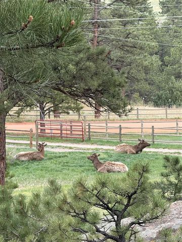 1715 Spring Gulch Drive, Lyons, CO 80540
