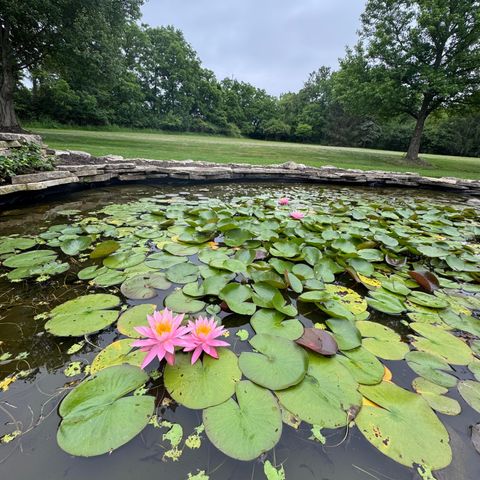 7785 Kate Brown Drive, Dublin, OH 43017