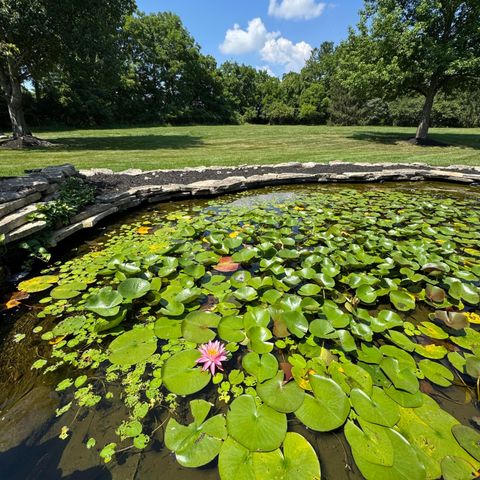 7785 Kate Brown Drive, Dublin, OH 43017