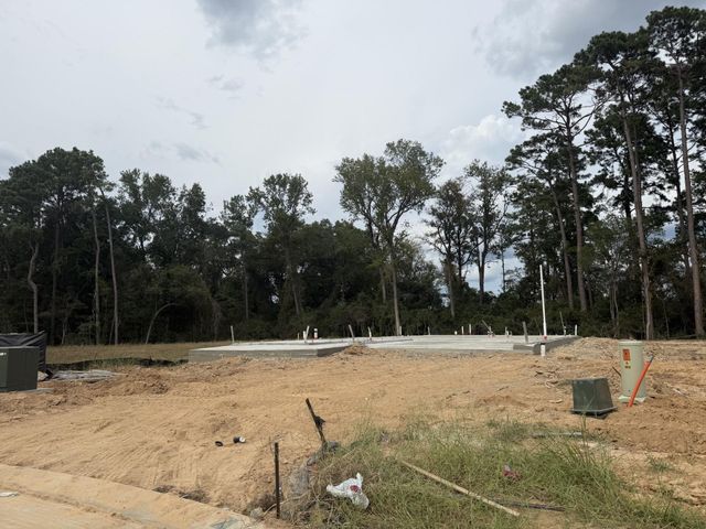 359 Twilight Haze Court, Willis, TX 77318