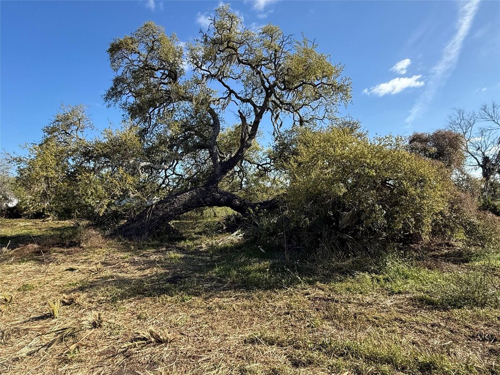0 County Road 319, Brazoria, TX 77422