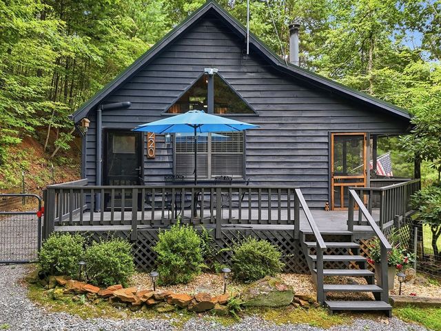 220 Oak Loop, Mineral Bluff, GA 30559