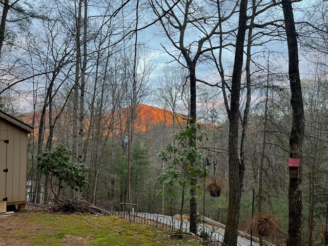 220 Oak Loop, Mineral Bluff, GA 30559