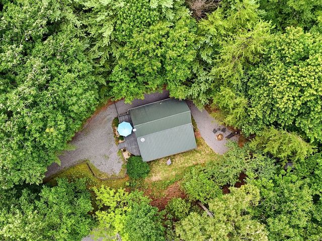 220 Oak Loop, Mineral Bluff, GA 30559