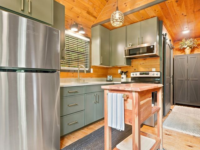 220 Oak Loop, Mineral Bluff, GA 30559