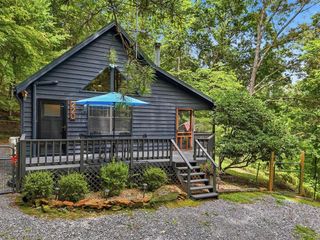 220 Oak Loop, Mineral Bluff, GA 30559