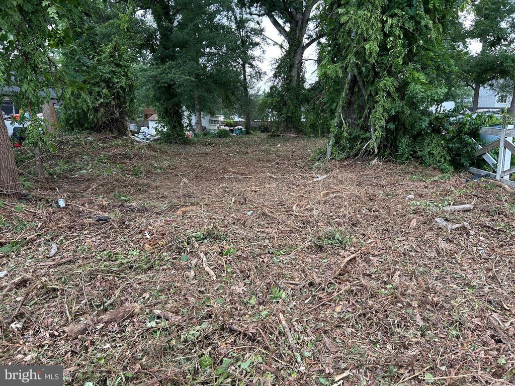 7814 BELVEDERE DR, Alexandria, VA 22306