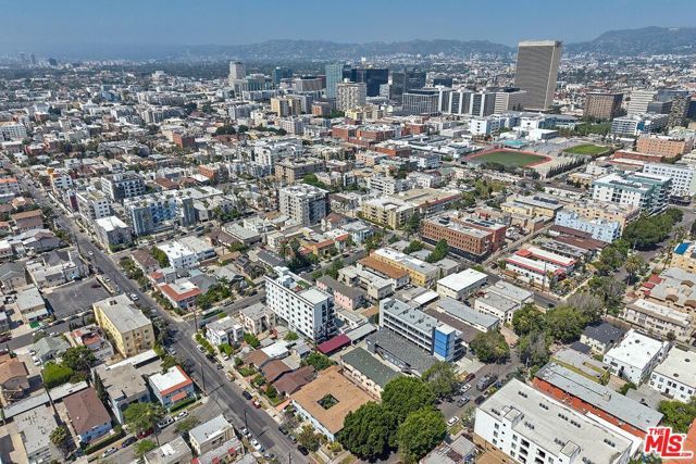 905 S Catalina Street, Los Angeles, CA 90006