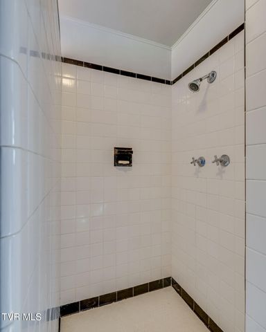 717 West Pine Street, Johnson City, TN 37604