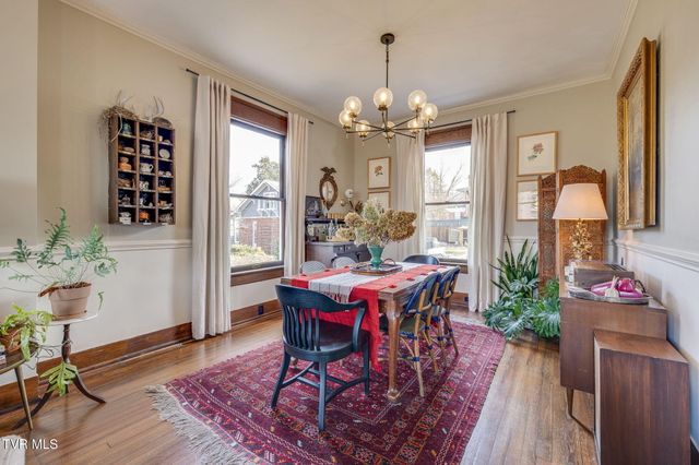 717 West Pine Street, Johnson City, TN 37604