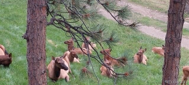 4257 Troutdale Village Drive, Evergreen, CO 80439