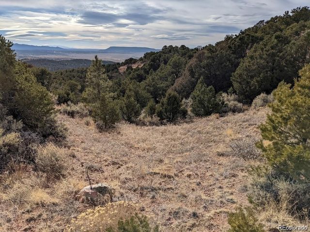 4389 Beekman Road, Fort Garland, CO 81133