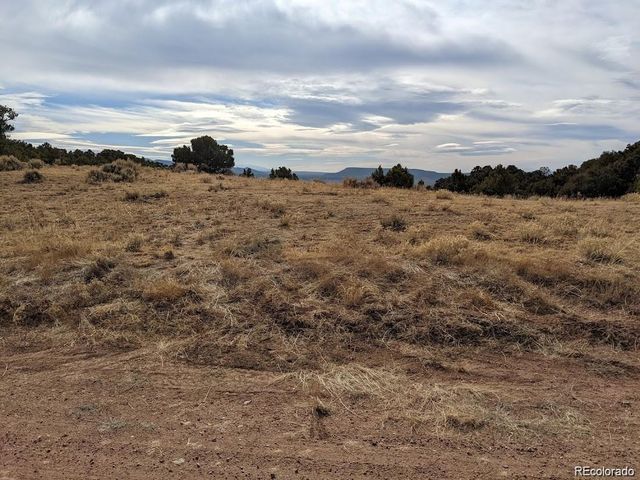 4389 Beekman Road, Fort Garland, CO 81133