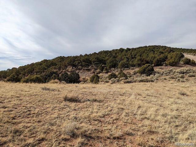 4389 Beekman Road, Fort Garland, CO 81133