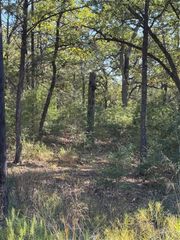 Lot 130 Wailupe CIR, Bastrop, TX 78602