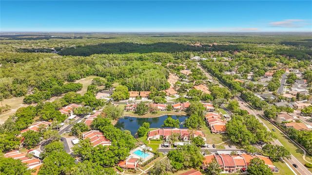 3505 TARPON WOODS BOULEVARD P403, Palm Harbor, FL 34685