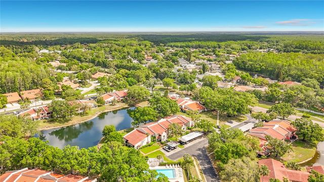 3505 TARPON WOODS BOULEVARD P403, Palm Harbor, FL 34685