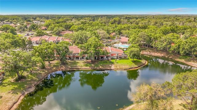 3505 TARPON WOODS BOULEVARD P403, Palm Harbor, FL 34685