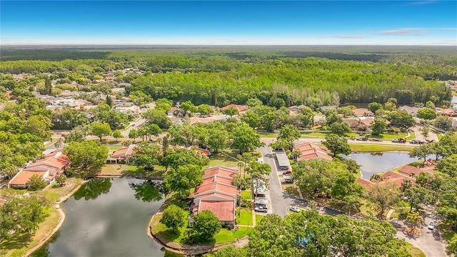 3505 TARPON WOODS BOULEVARD P403, Palm Harbor, FL 34685