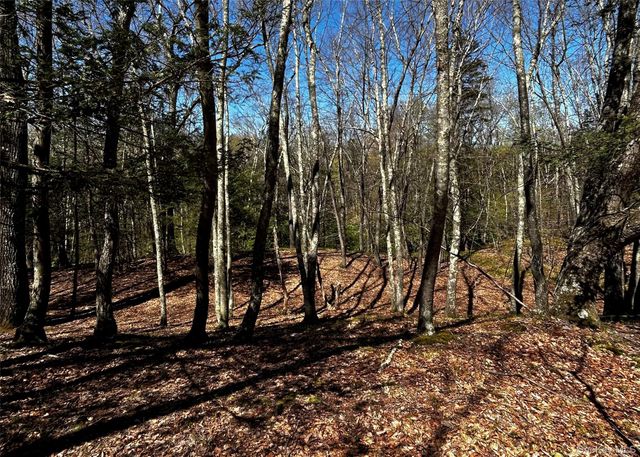 Bullshead Road, Clinton Corners, NY 12514