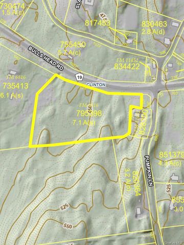 Bullshead Road, Clinton Corners, NY 12514