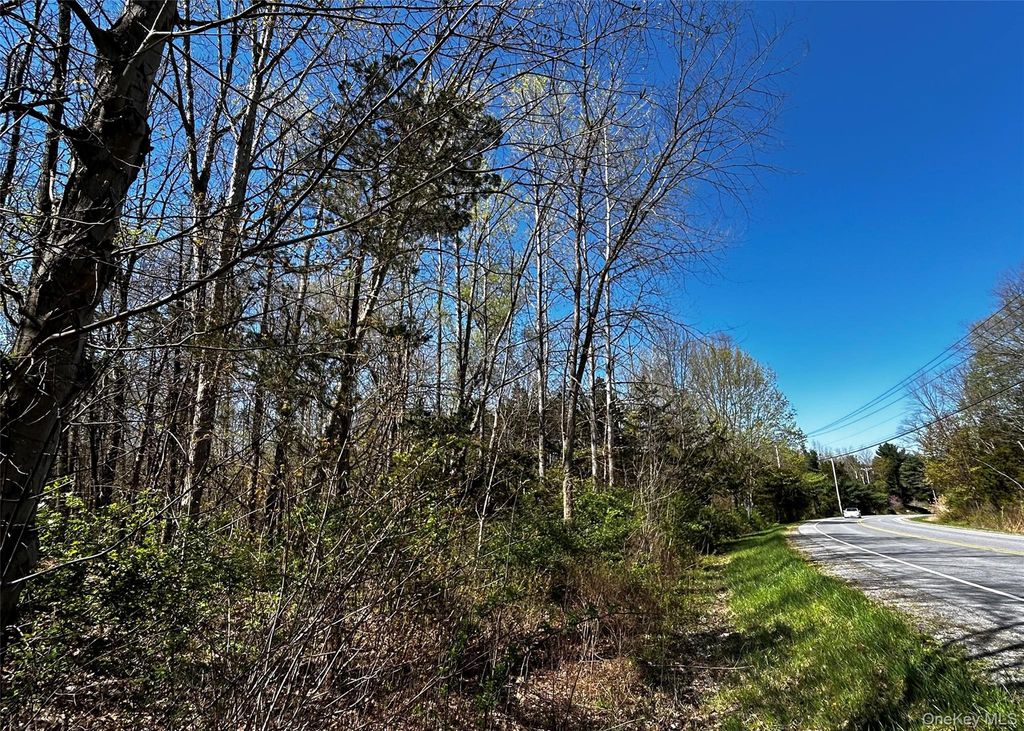Bullshead Road, Clinton Corners, NY 12514