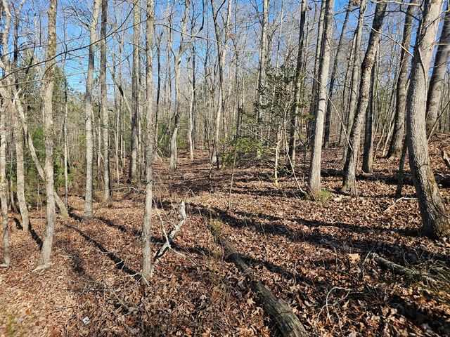 1.16 Marie Drive, Talking Rock, GA 30175