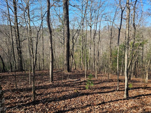 1.16 Marie Drive, Talking Rock, GA 30175