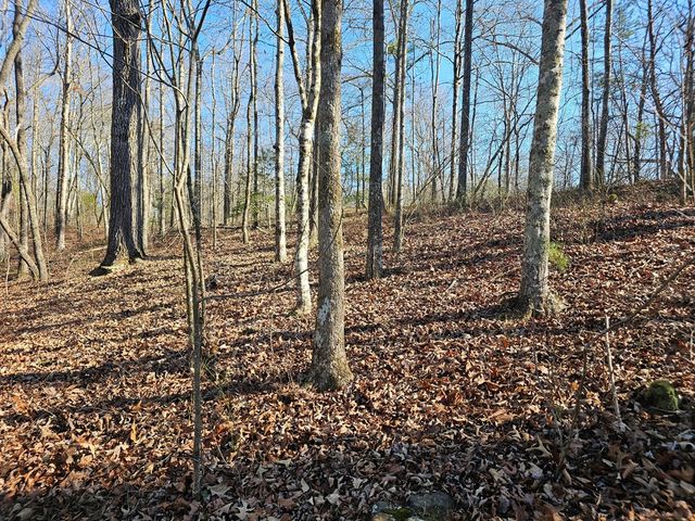 1.16 Marie Drive, Talking Rock, GA 30175