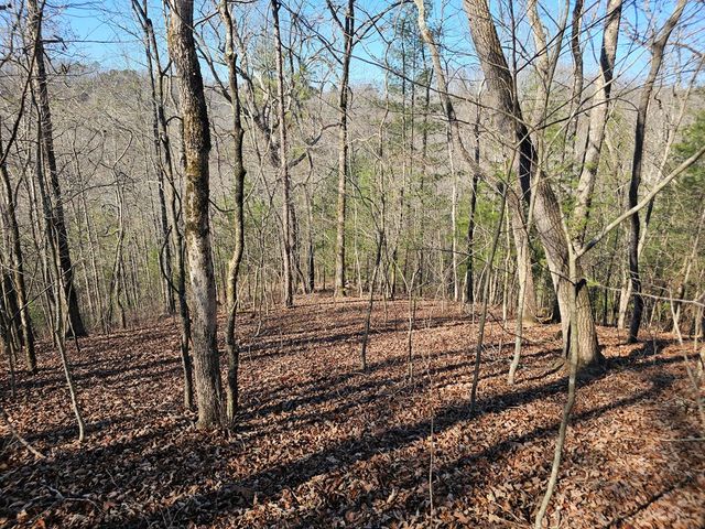 1.16 Marie Drive, Talking Rock, GA 30175