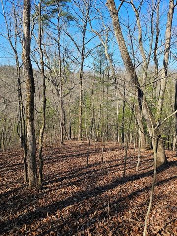 1.16 Marie Drive, Talking Rock, GA 30175