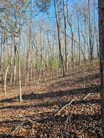 1.16 Marie Drive, Talking Rock, GA 30175