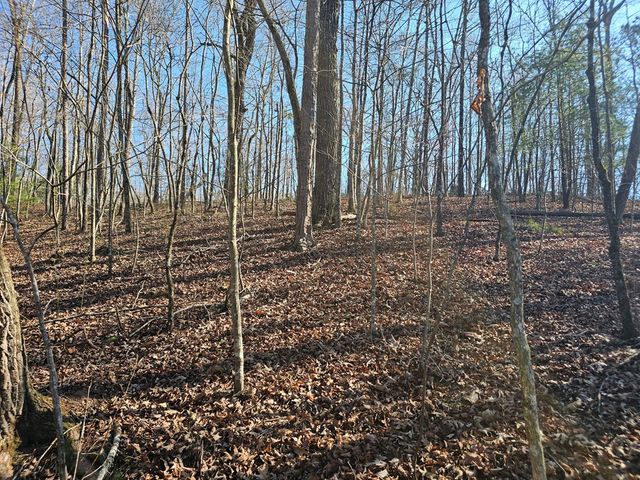 1.16 Marie Drive, Talking Rock, GA 30175