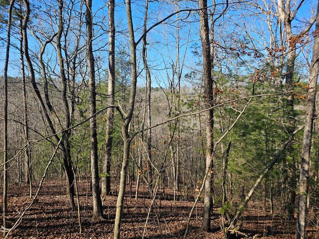 1.16 Marie Drive, Talking Rock, GA 30175